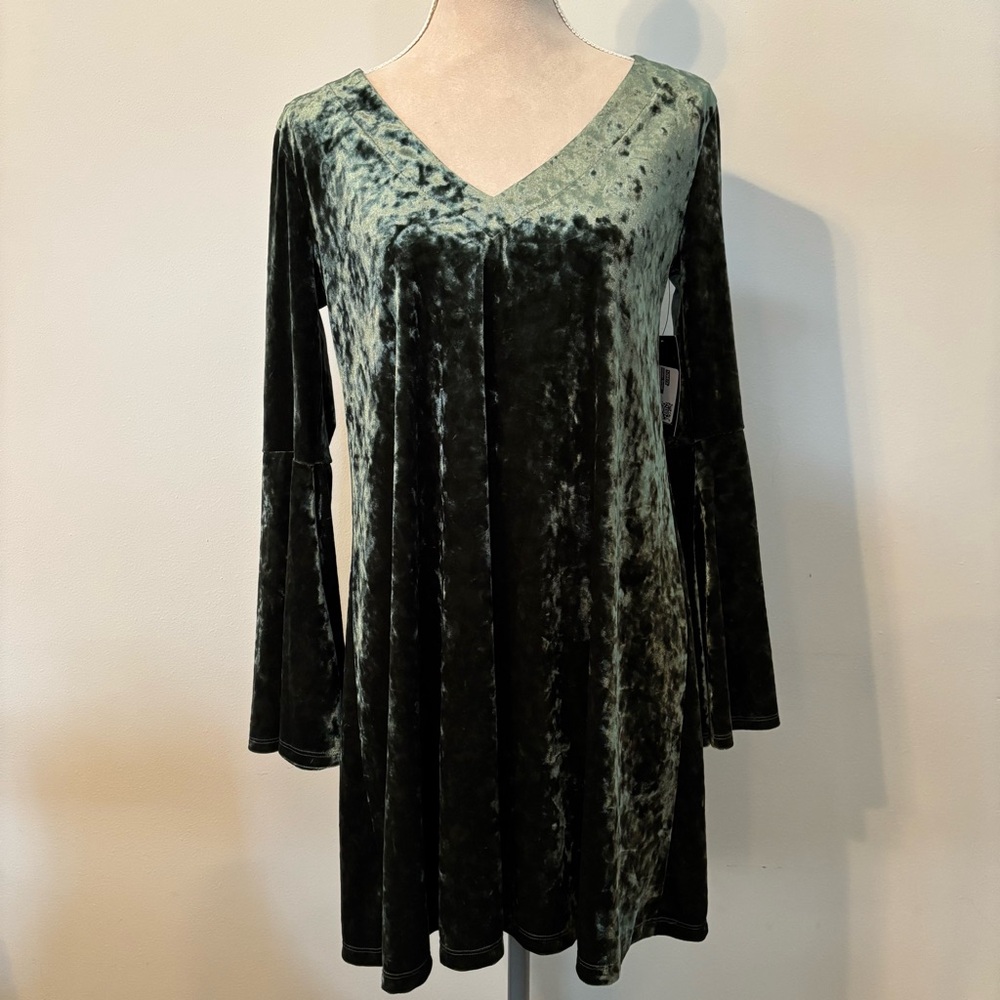 a.n.a Dark Green Velvet Long Sleeve Shift Dress Size Small